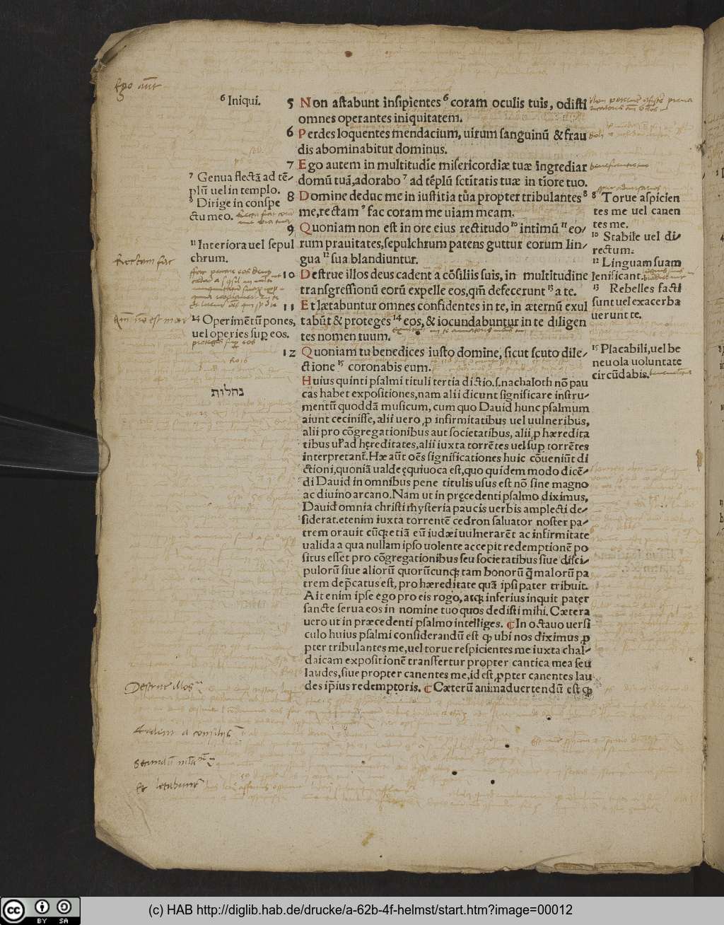 http://diglib.hab.de/drucke/a-62b-4f-helmst/00012.jpg