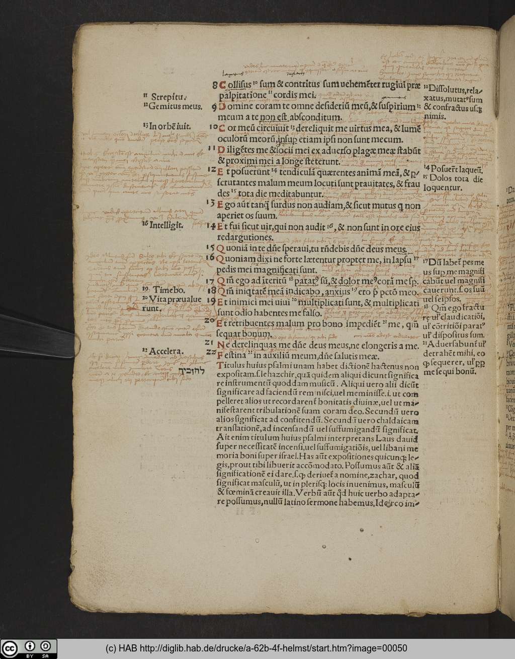 http://diglib.hab.de/drucke/a-62b-4f-helmst/00050.jpg