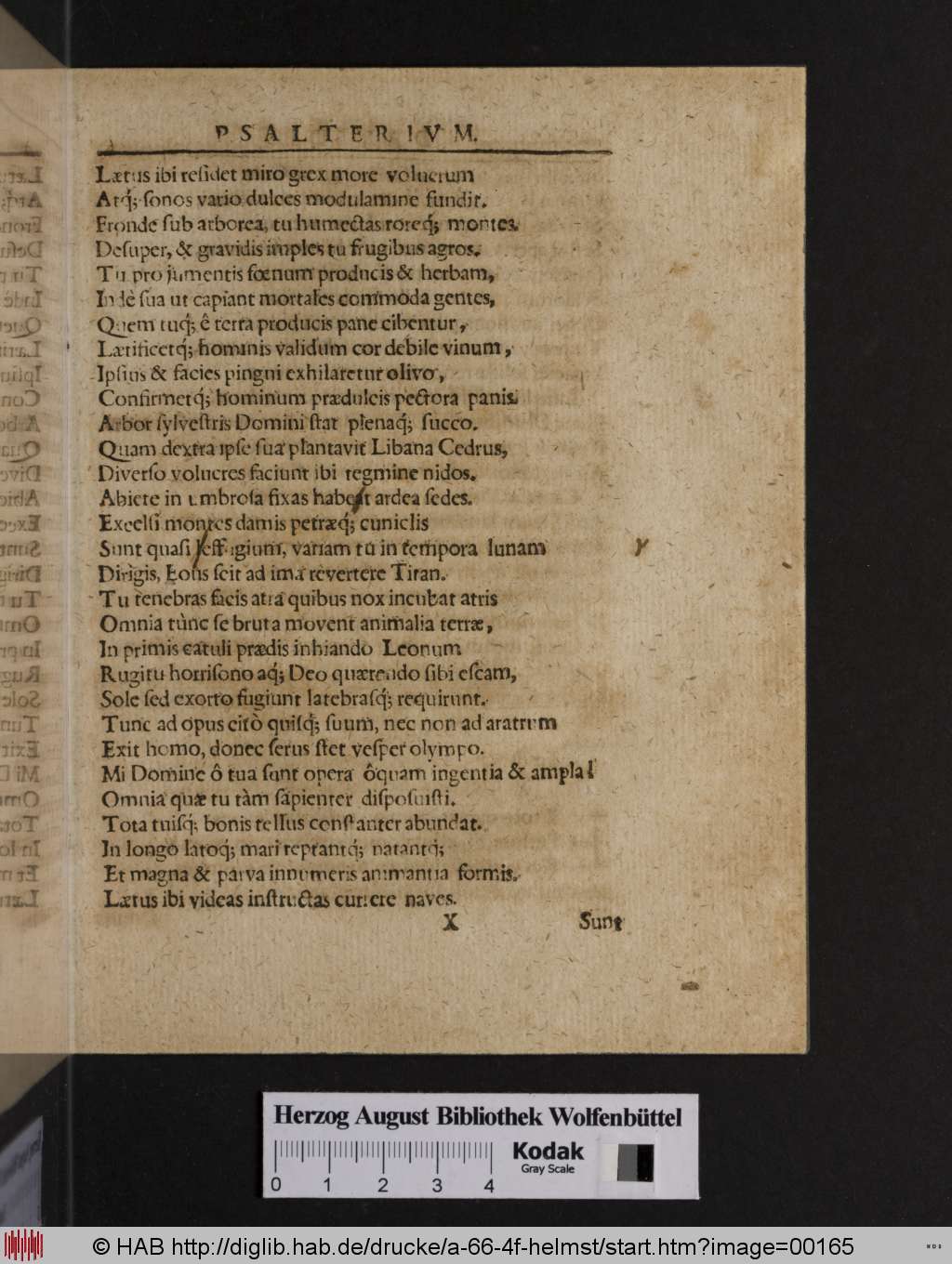 http://diglib.hab.de/drucke/a-66-4f-helmst/00165.jpg