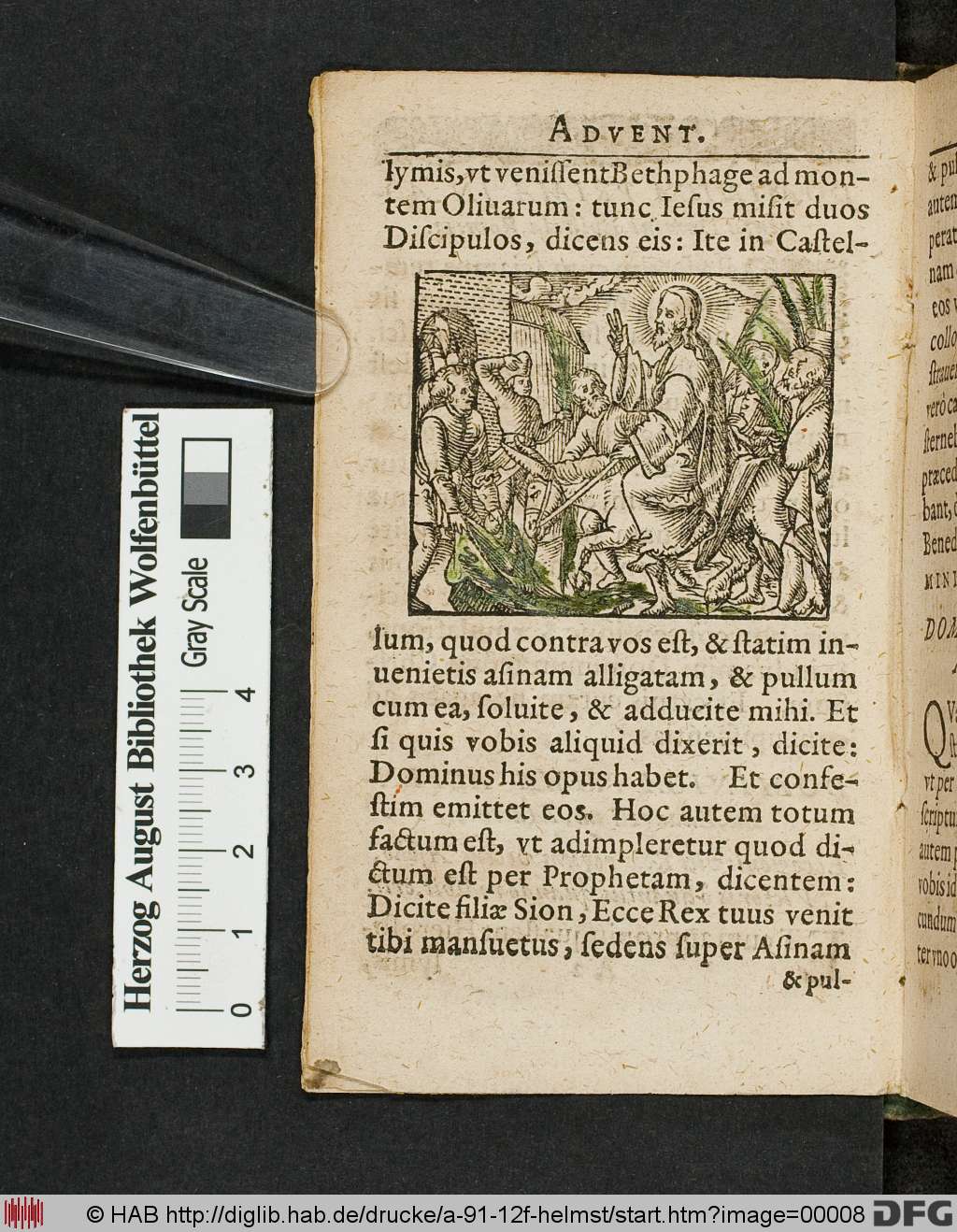 http://diglib.hab.de/drucke/a-91-12f-helmst/00008.jpg
