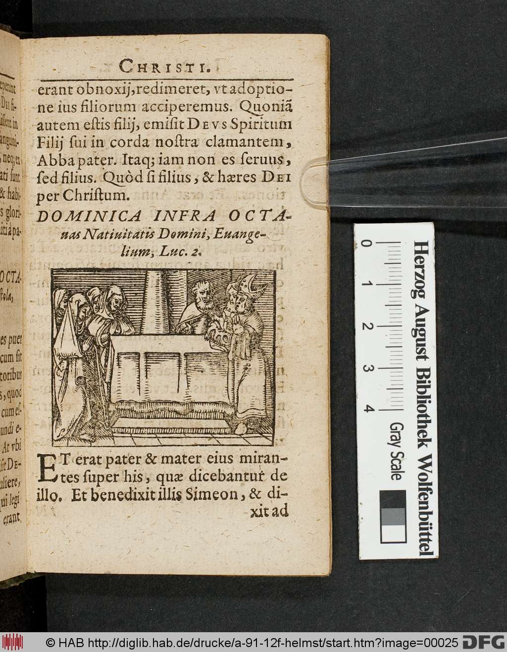 http://diglib.hab.de/drucke/a-91-12f-helmst/00025.jpg