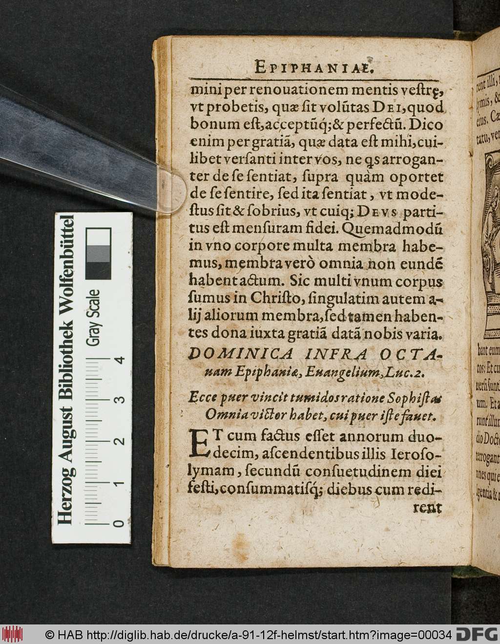 http://diglib.hab.de/drucke/a-91-12f-helmst/00034.jpg