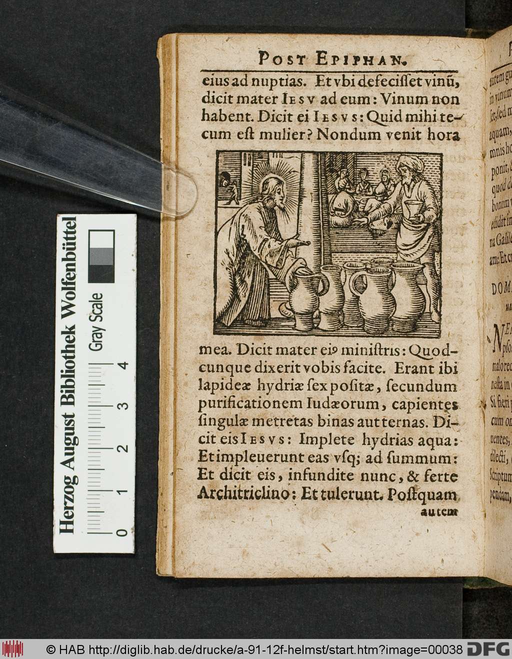 http://diglib.hab.de/drucke/a-91-12f-helmst/00038.jpg