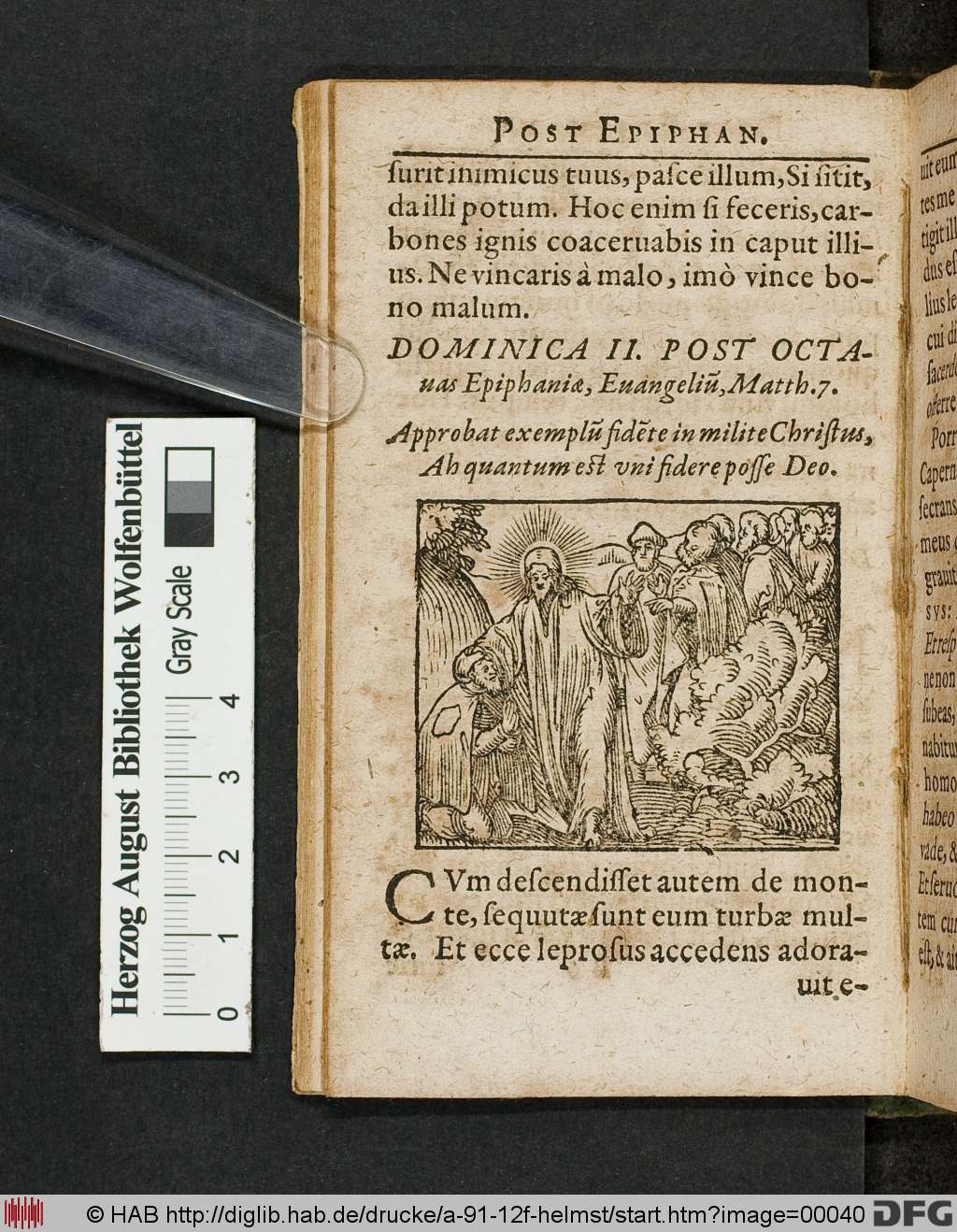 http://diglib.hab.de/drucke/a-91-12f-helmst/00040.jpg
