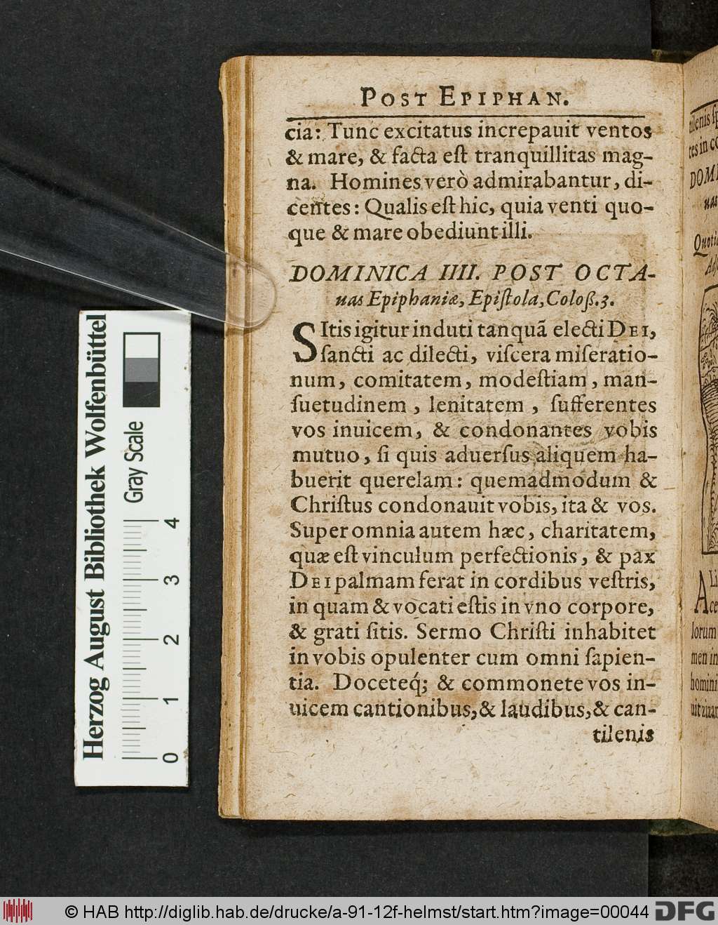http://diglib.hab.de/drucke/a-91-12f-helmst/00044.jpg