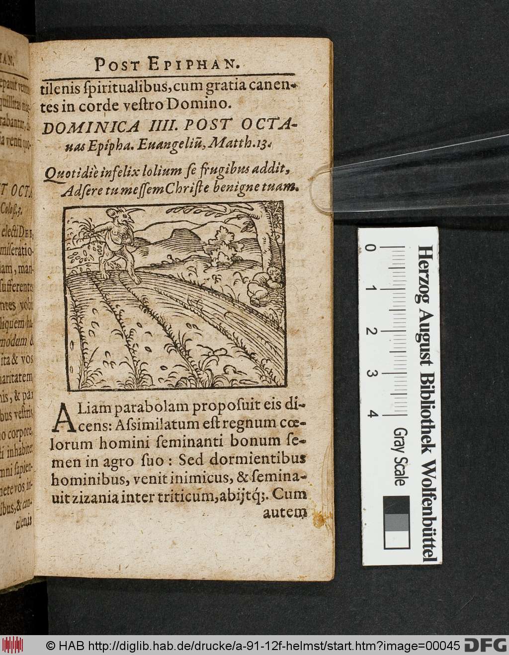 http://diglib.hab.de/drucke/a-91-12f-helmst/00045.jpg