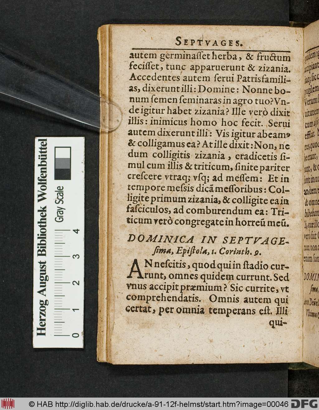 http://diglib.hab.de/drucke/a-91-12f-helmst/00046.jpg