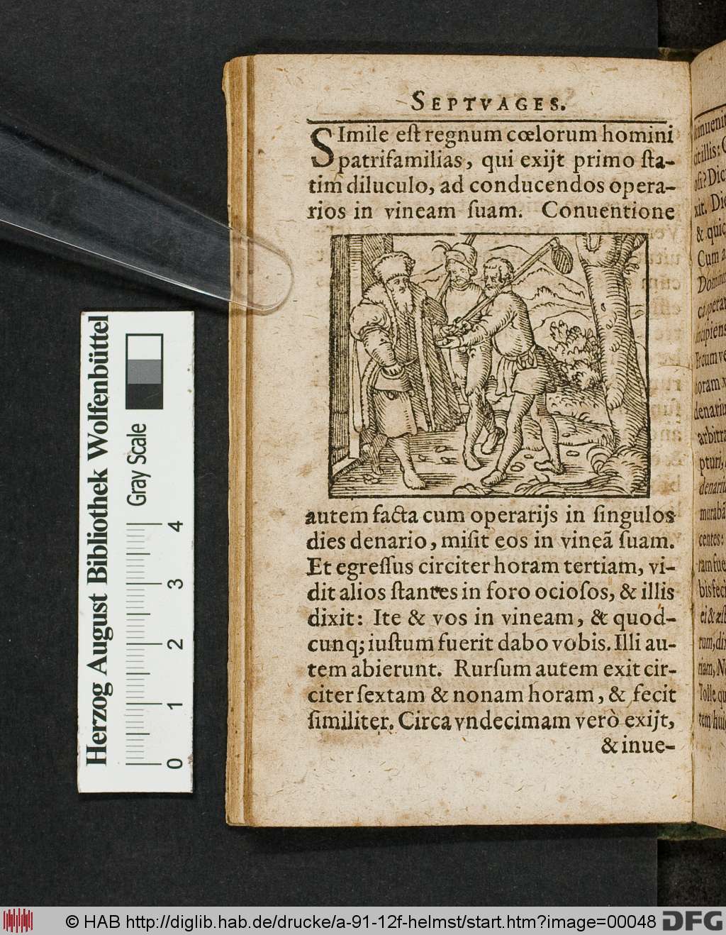 http://diglib.hab.de/drucke/a-91-12f-helmst/00048.jpg
