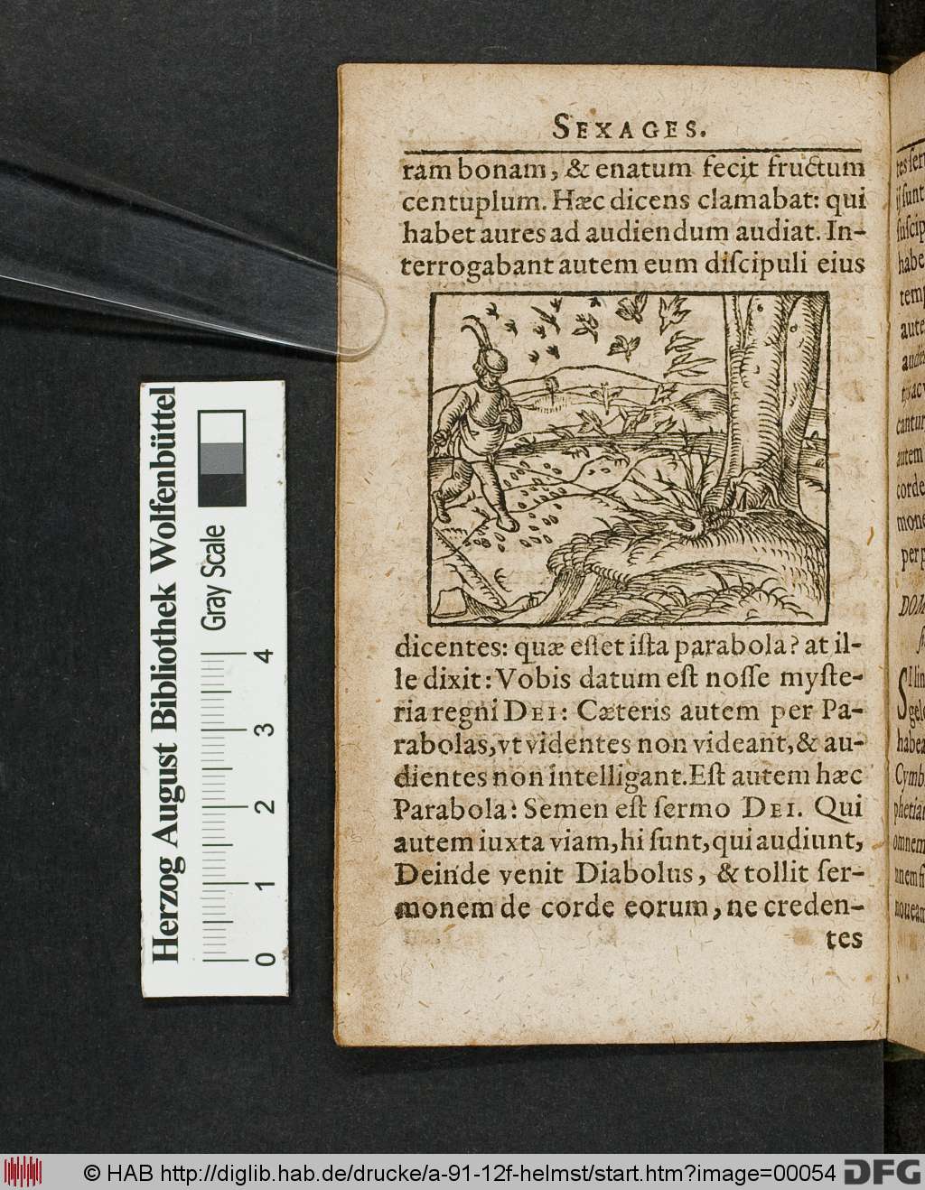 http://diglib.hab.de/drucke/a-91-12f-helmst/00054.jpg