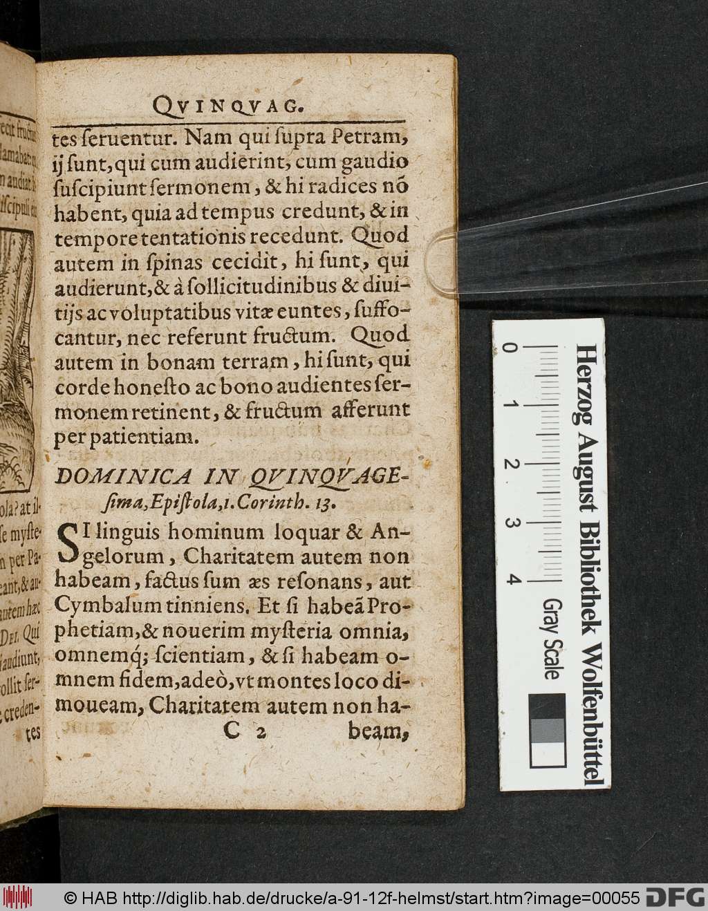 http://diglib.hab.de/drucke/a-91-12f-helmst/00055.jpg