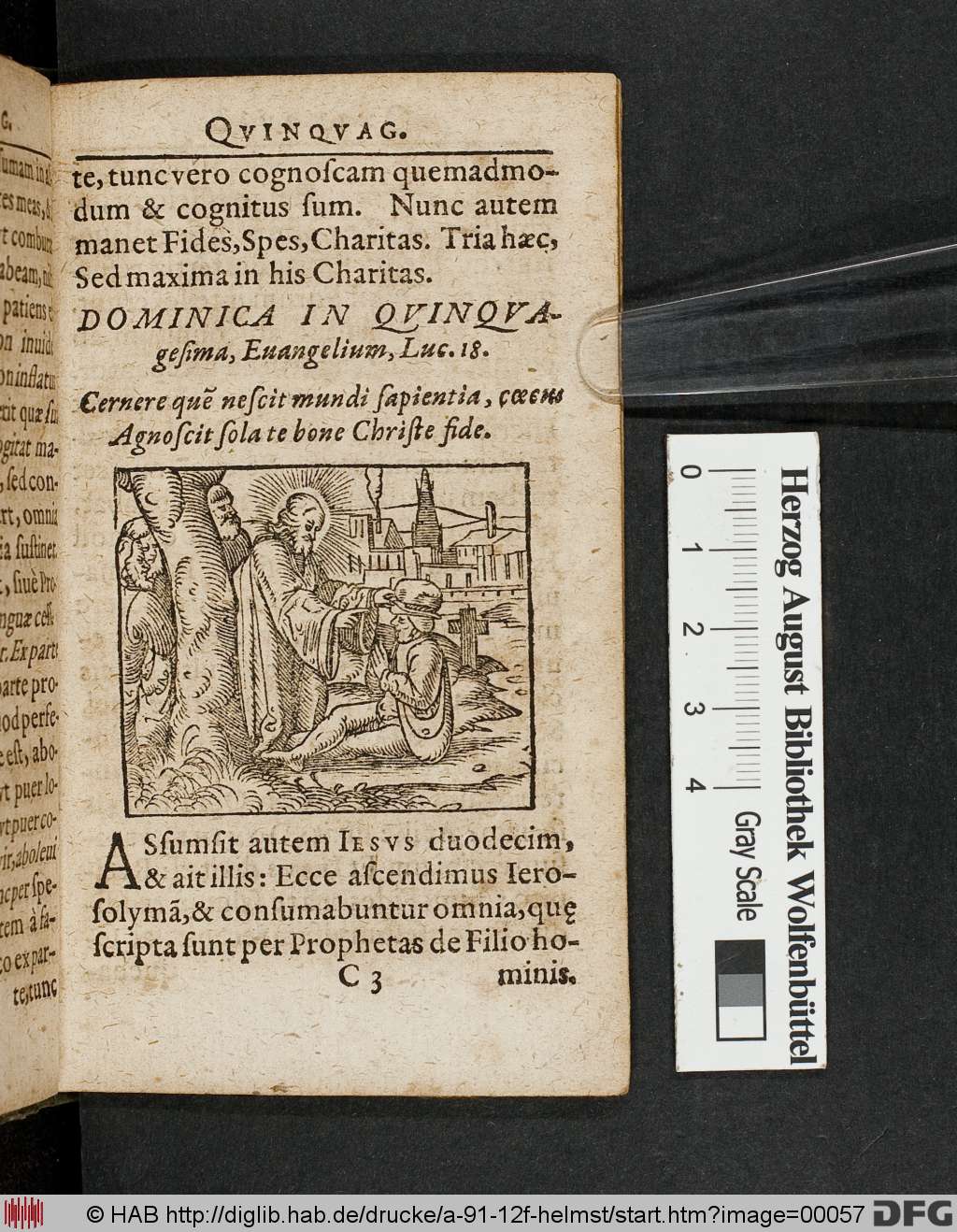 http://diglib.hab.de/drucke/a-91-12f-helmst/00057.jpg