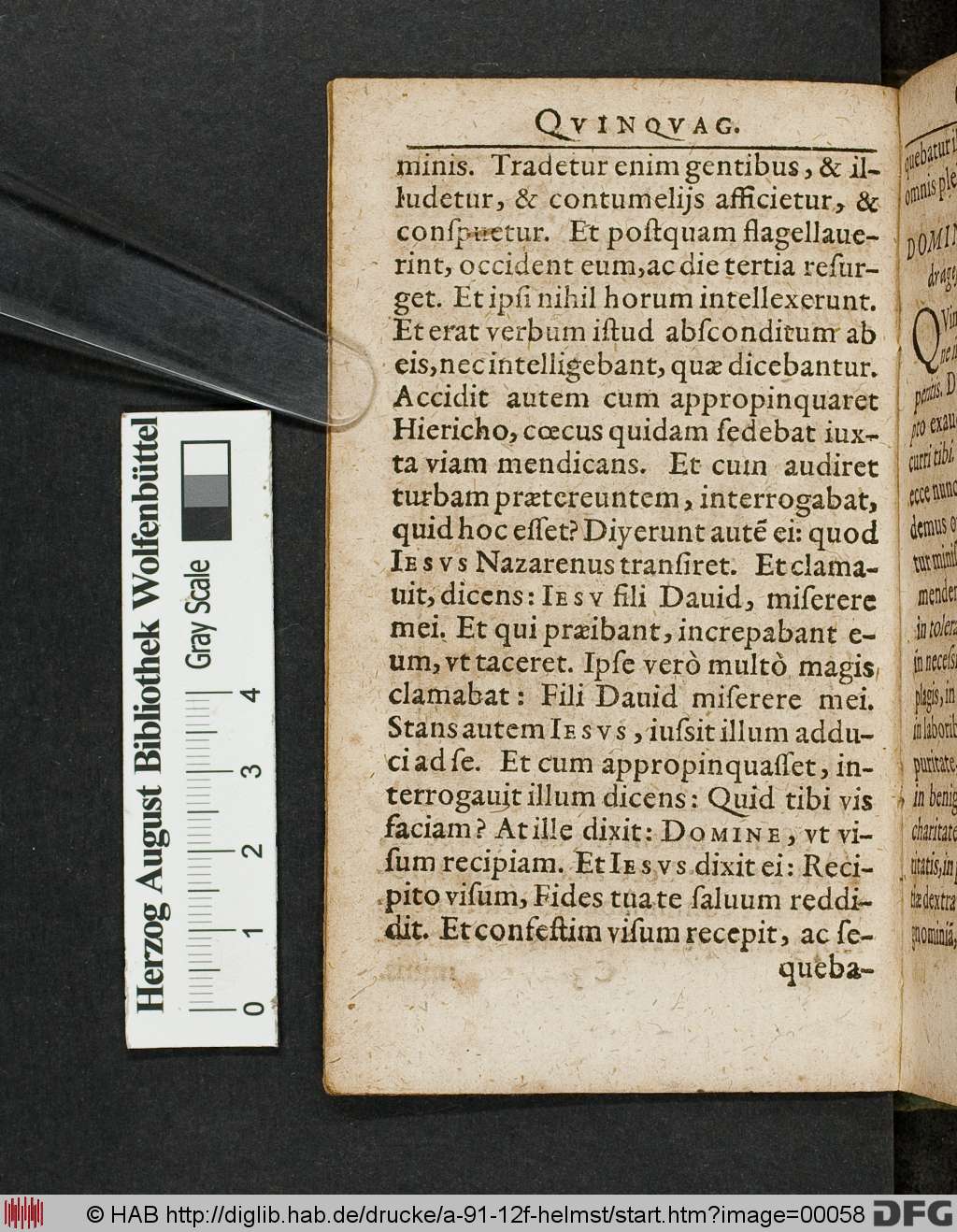 http://diglib.hab.de/drucke/a-91-12f-helmst/00058.jpg