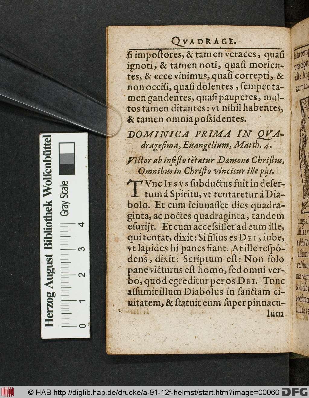 http://diglib.hab.de/drucke/a-91-12f-helmst/00060.jpg