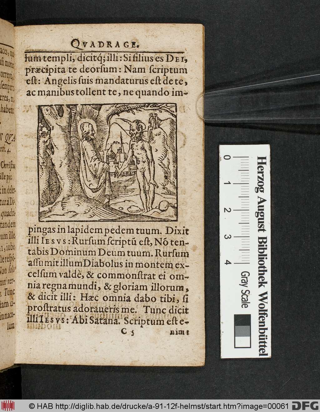http://diglib.hab.de/drucke/a-91-12f-helmst/00061.jpg