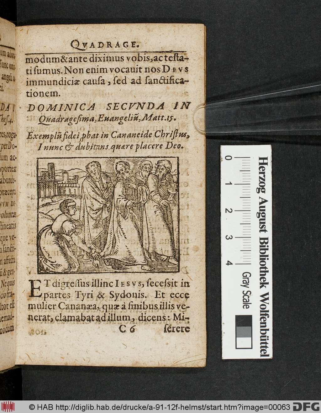http://diglib.hab.de/drucke/a-91-12f-helmst/00063.jpg