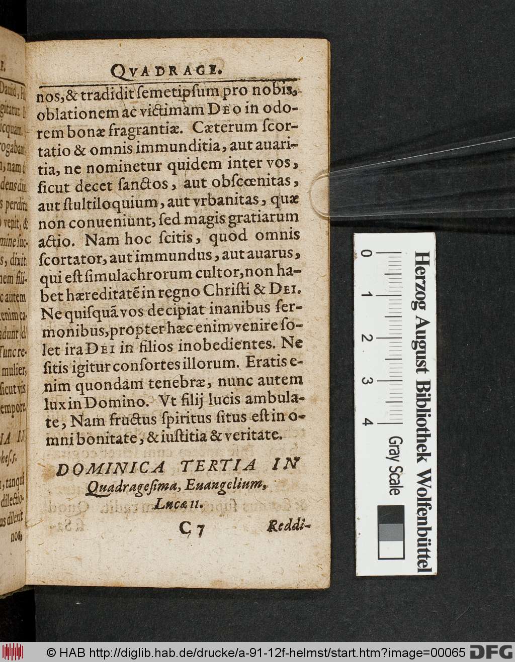 http://diglib.hab.de/drucke/a-91-12f-helmst/00065.jpg