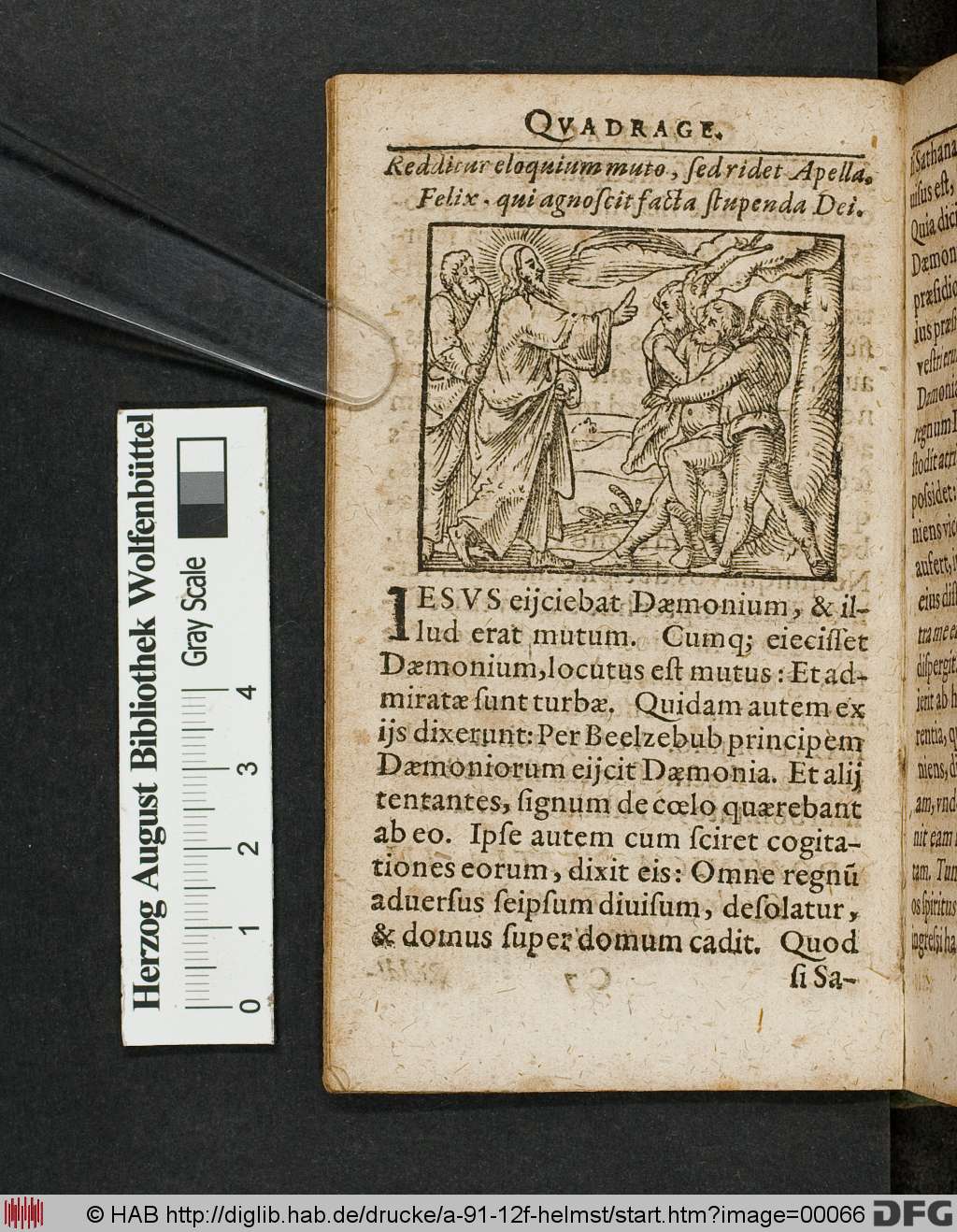 http://diglib.hab.de/drucke/a-91-12f-helmst/00066.jpg