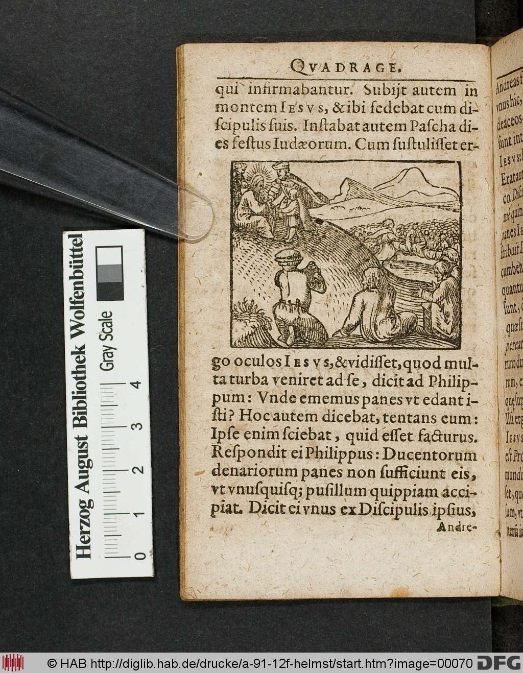 http://diglib.hab.de/drucke/a-91-12f-helmst/00070.jpg