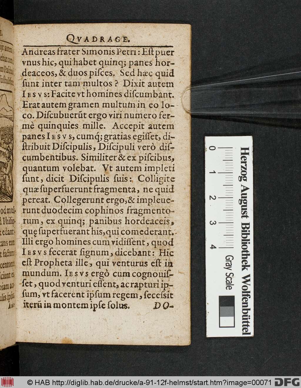 http://diglib.hab.de/drucke/a-91-12f-helmst/00071.jpg