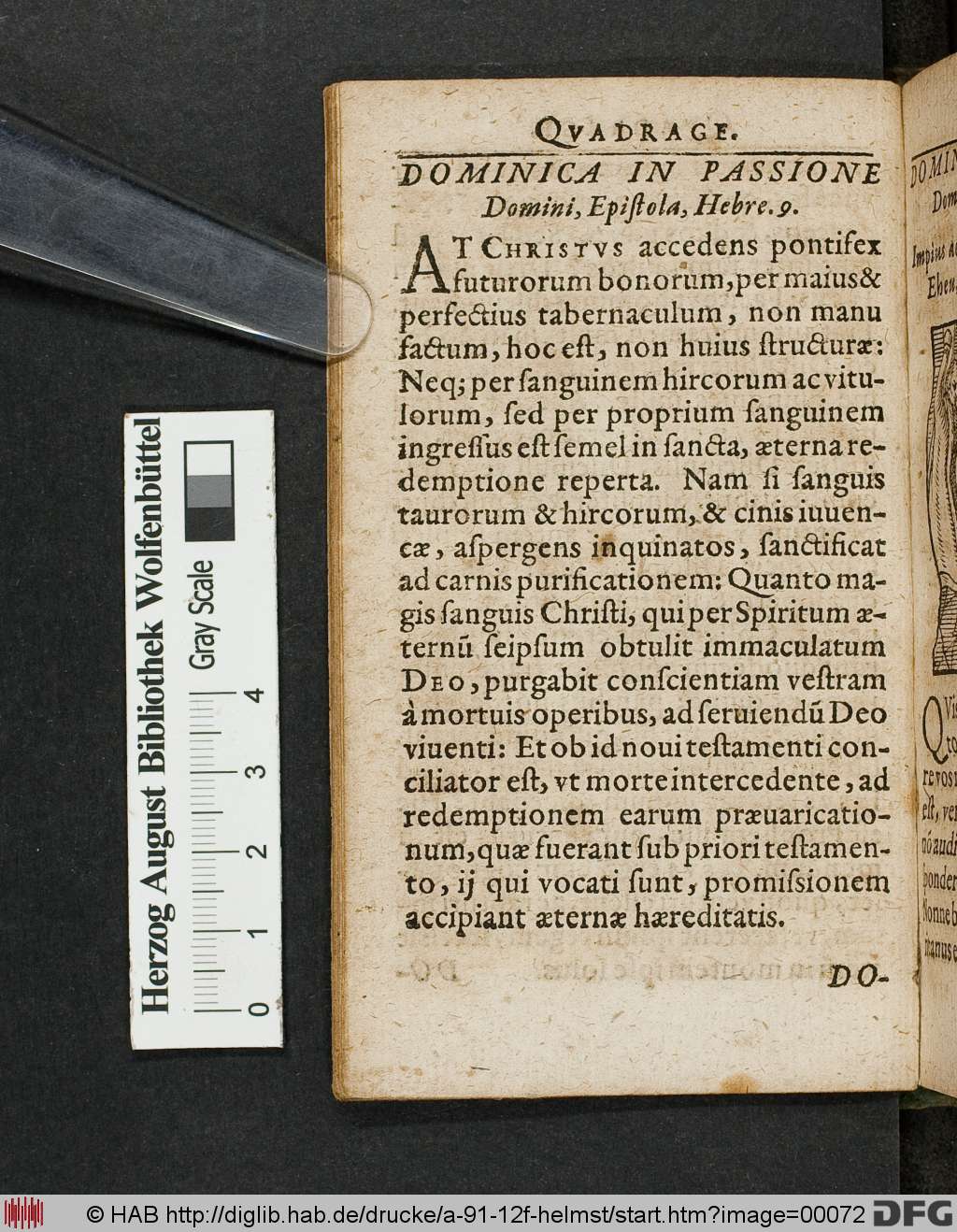 http://diglib.hab.de/drucke/a-91-12f-helmst/00072.jpg