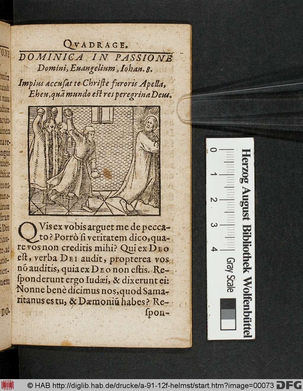 http://diglib.hab.de/drucke/a-91-12f-helmst/00073.jpg