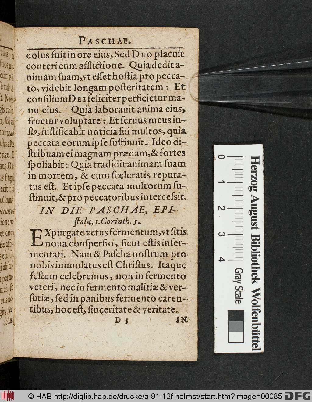 http://diglib.hab.de/drucke/a-91-12f-helmst/00085.jpg