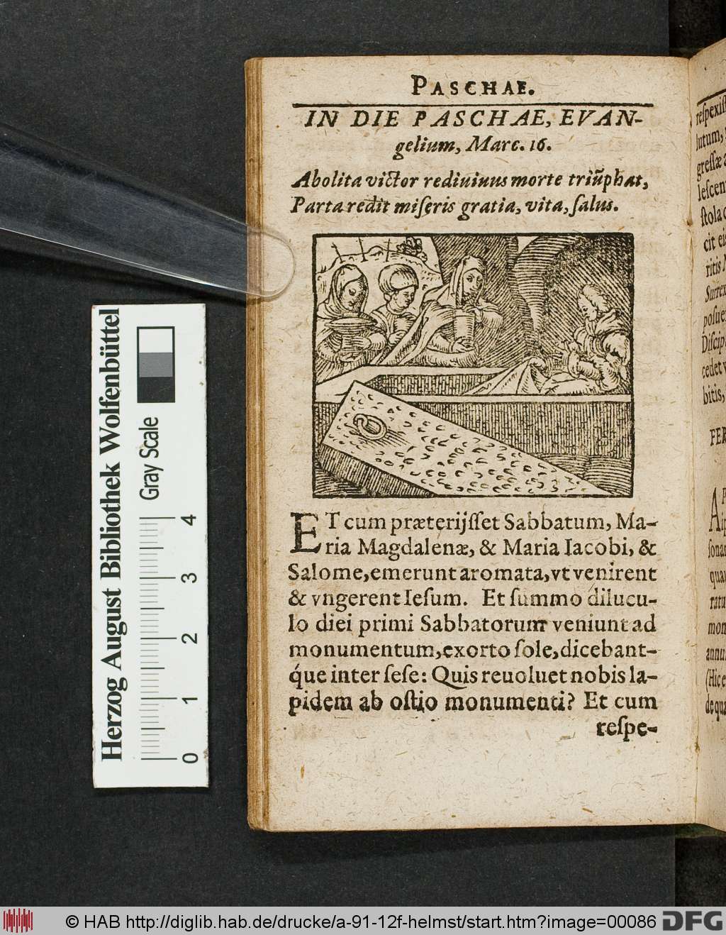 http://diglib.hab.de/drucke/a-91-12f-helmst/00086.jpg