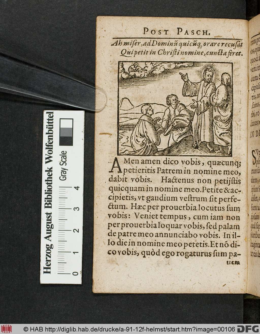http://diglib.hab.de/drucke/a-91-12f-helmst/00106.jpg