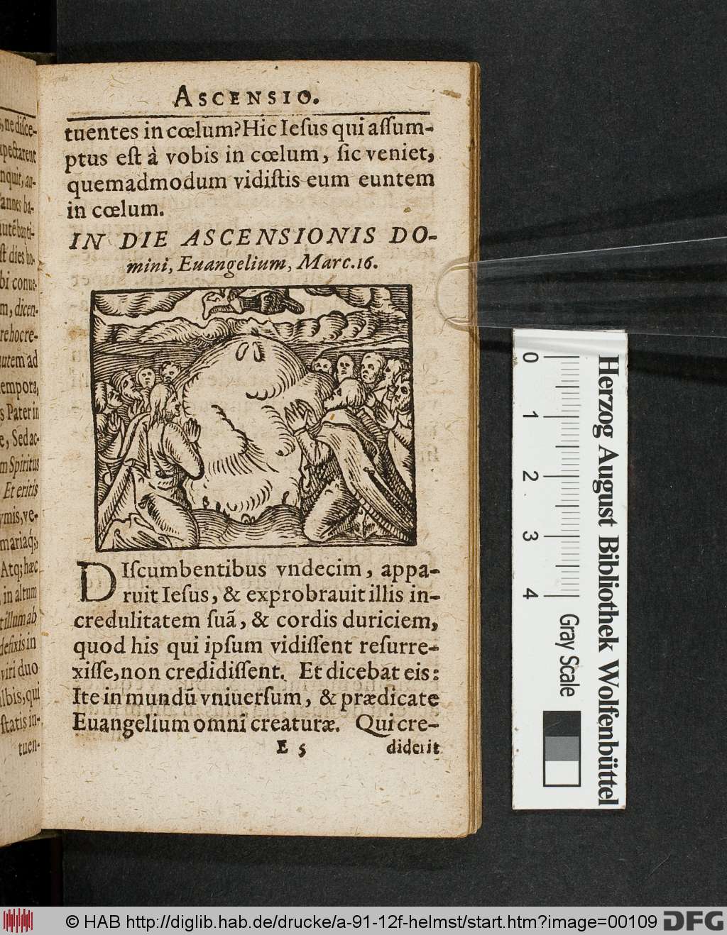 http://diglib.hab.de/drucke/a-91-12f-helmst/00109.jpg