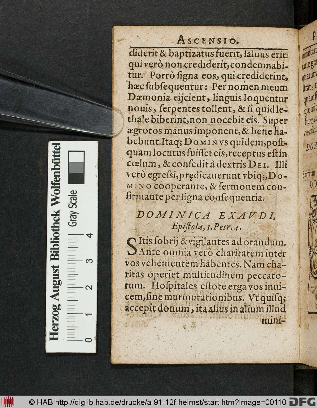 http://diglib.hab.de/drucke/a-91-12f-helmst/00110.jpg