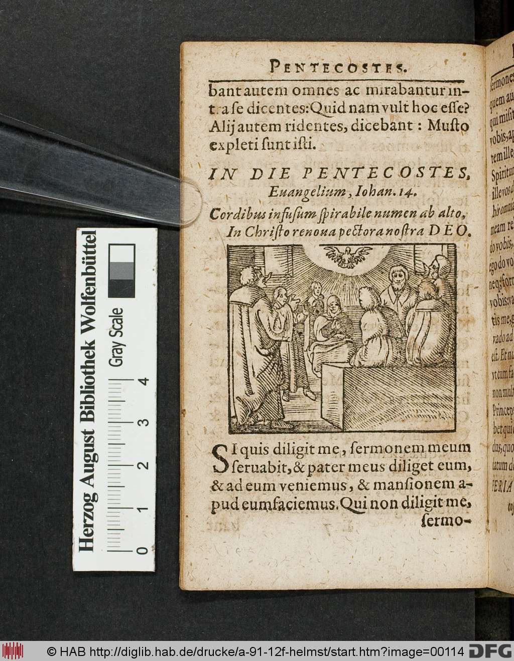 http://diglib.hab.de/drucke/a-91-12f-helmst/00114.jpg