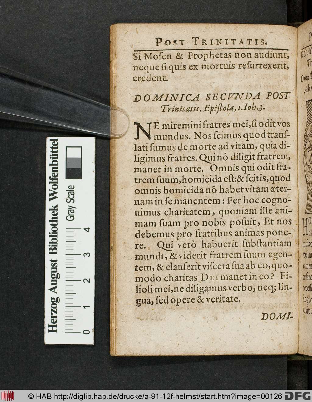 http://diglib.hab.de/drucke/a-91-12f-helmst/00126.jpg