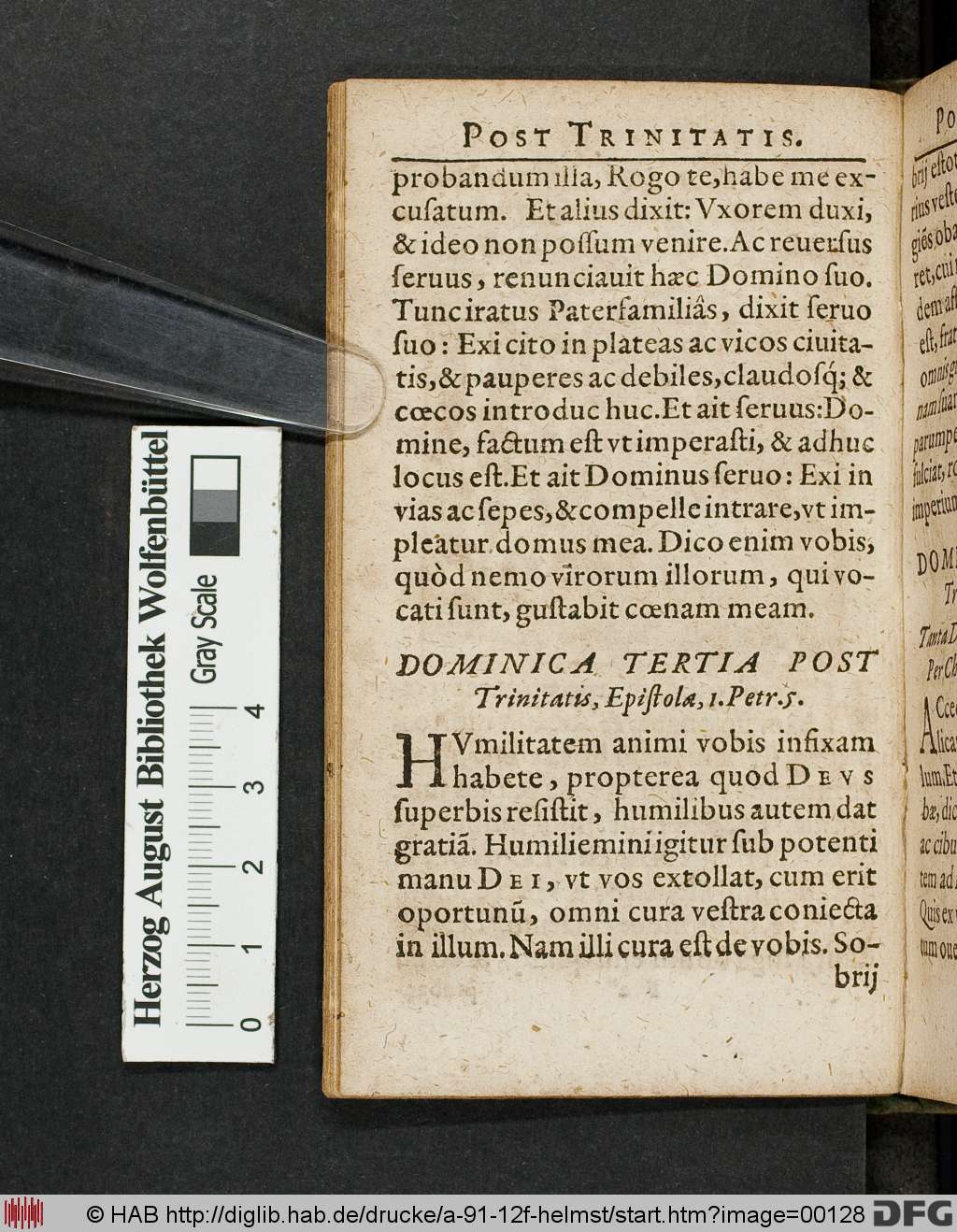 http://diglib.hab.de/drucke/a-91-12f-helmst/00128.jpg