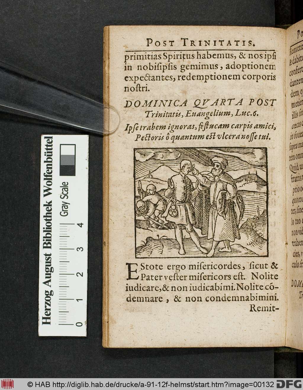 http://diglib.hab.de/drucke/a-91-12f-helmst/00132.jpg