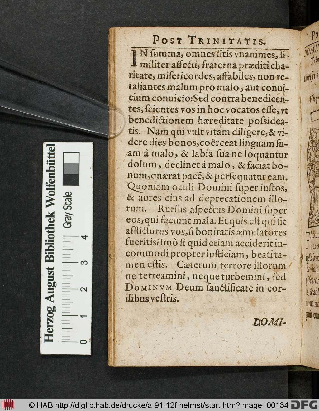 http://diglib.hab.de/drucke/a-91-12f-helmst/00134.jpg