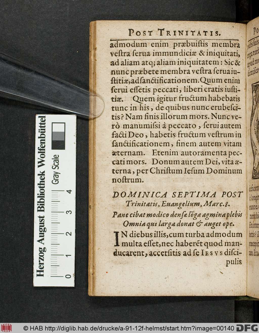 http://diglib.hab.de/drucke/a-91-12f-helmst/00140.jpg