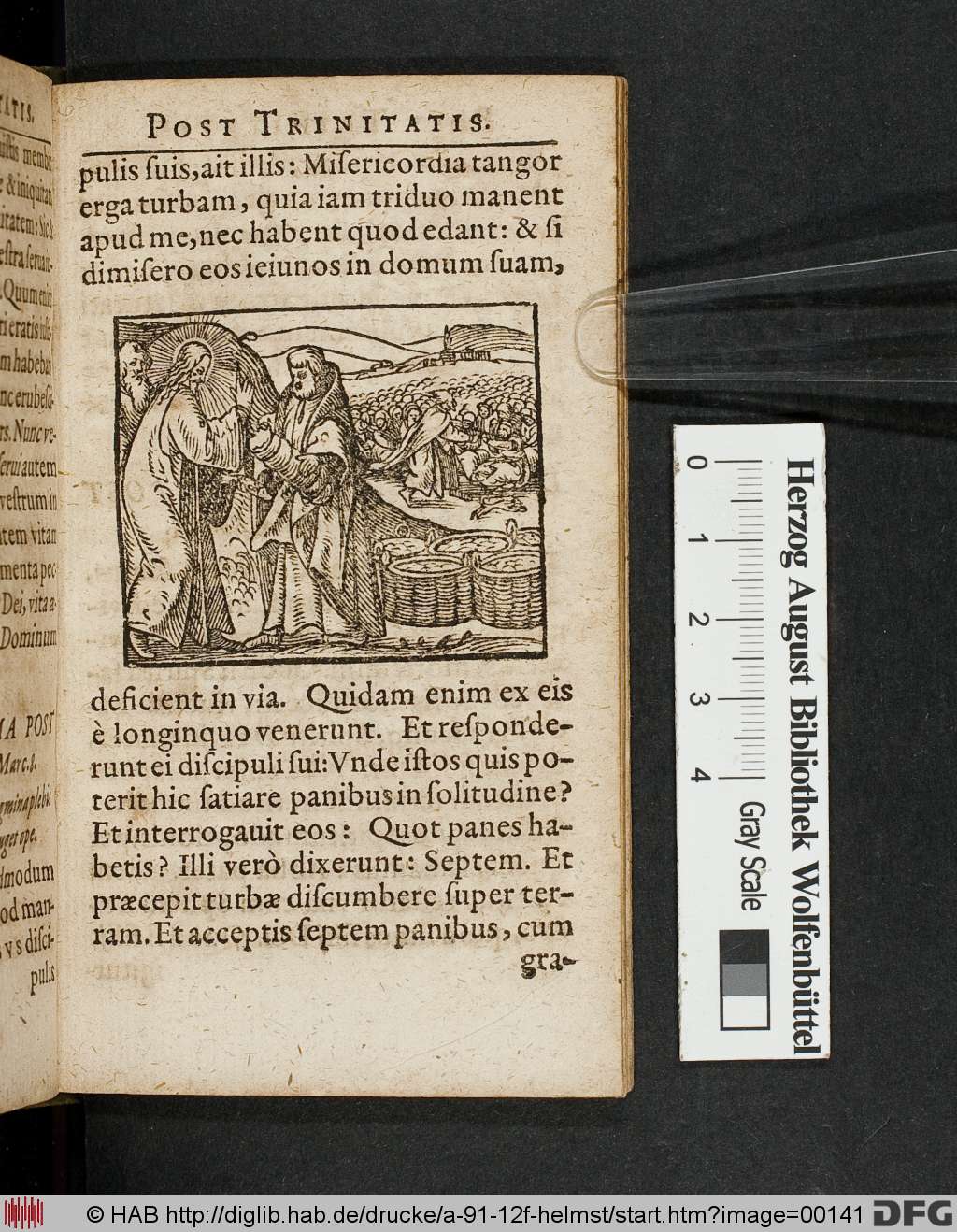 http://diglib.hab.de/drucke/a-91-12f-helmst/00141.jpg