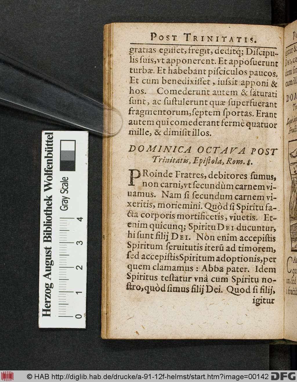 http://diglib.hab.de/drucke/a-91-12f-helmst/00142.jpg