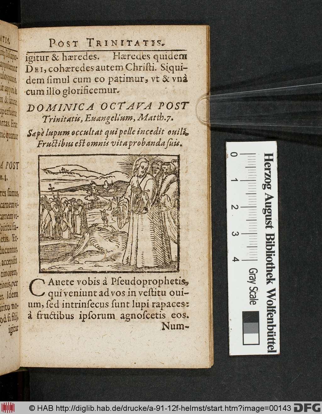 http://diglib.hab.de/drucke/a-91-12f-helmst/00143.jpg