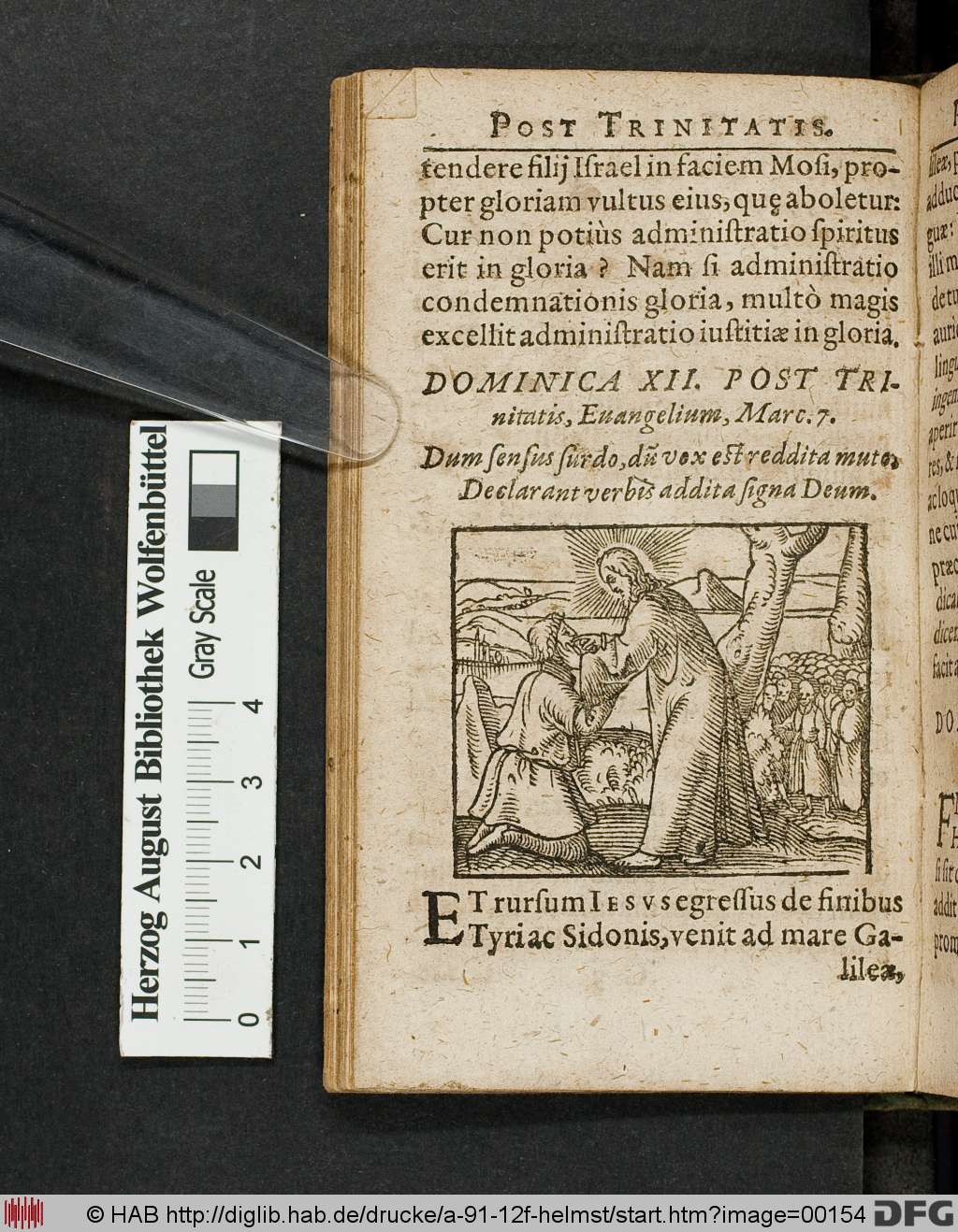 http://diglib.hab.de/drucke/a-91-12f-helmst/00154.jpg