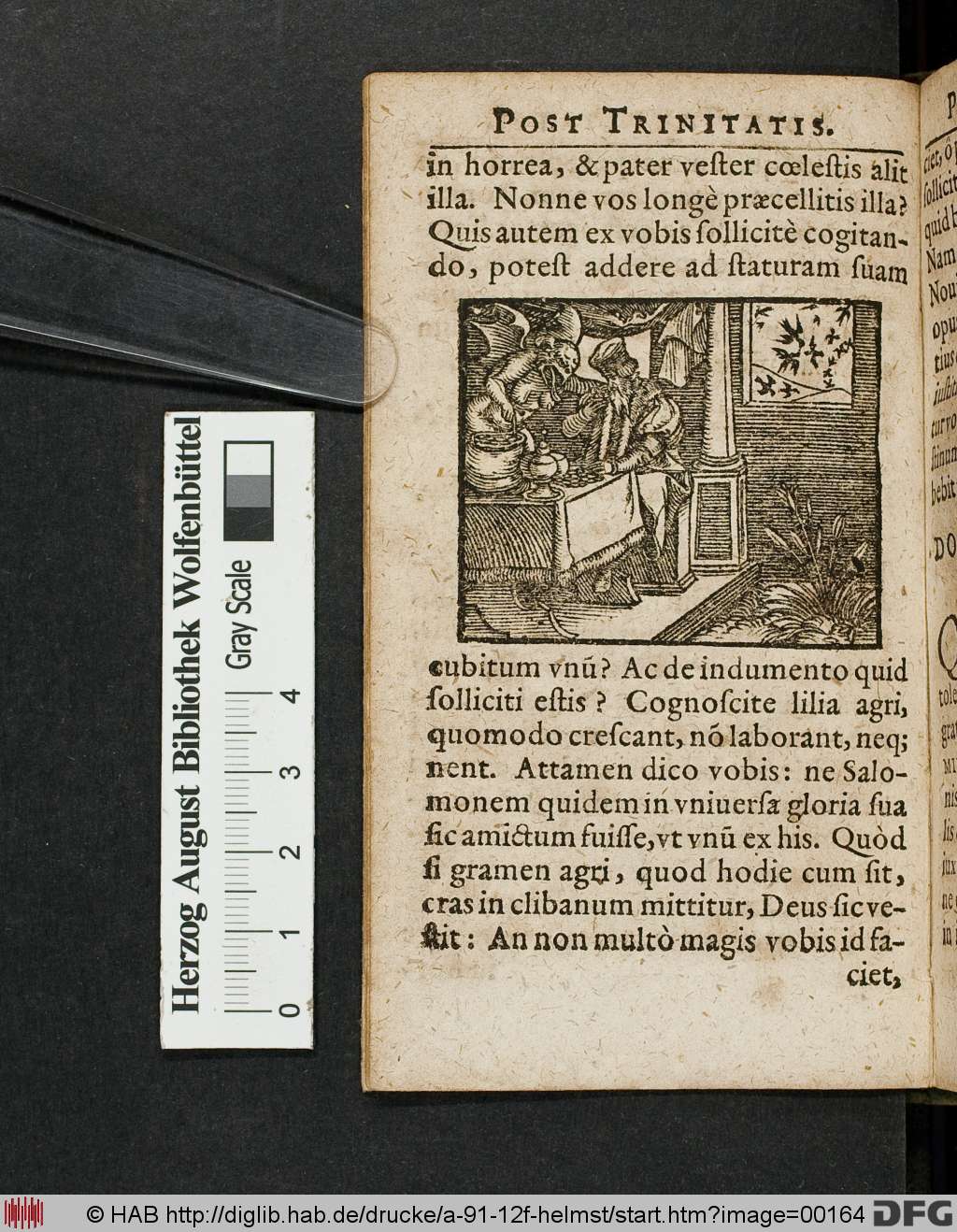 http://diglib.hab.de/drucke/a-91-12f-helmst/00164.jpg