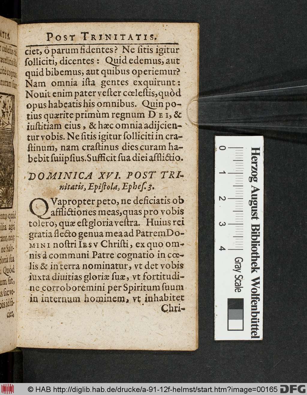 http://diglib.hab.de/drucke/a-91-12f-helmst/00165.jpg