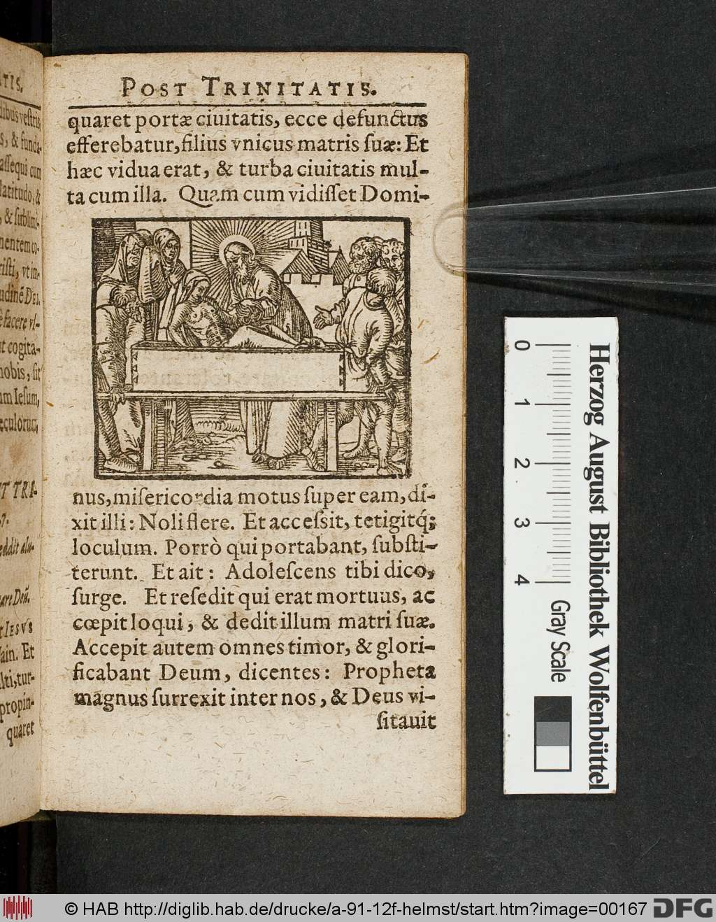 http://diglib.hab.de/drucke/a-91-12f-helmst/00167.jpg