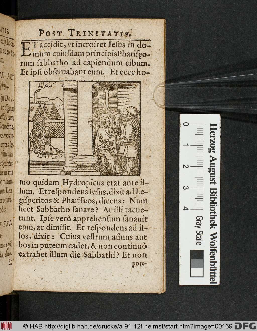 http://diglib.hab.de/drucke/a-91-12f-helmst/00169.jpg