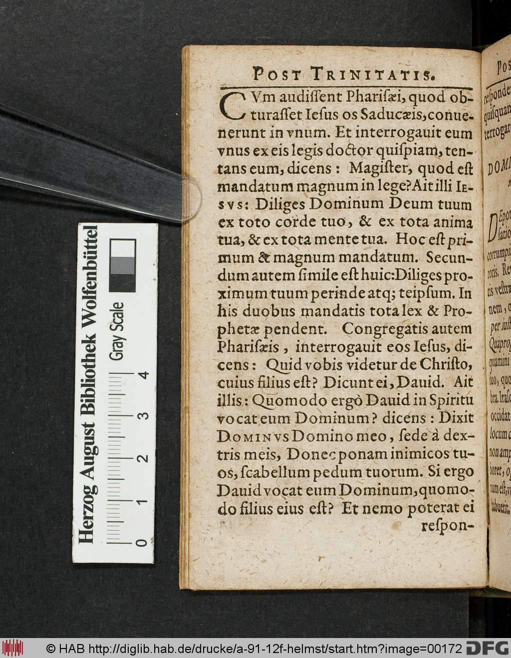 http://diglib.hab.de/drucke/a-91-12f-helmst/00172.jpg