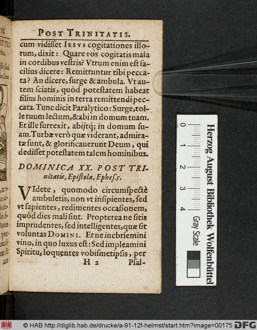 http://diglib.hab.de/drucke/a-91-12f-helmst/00175.jpg