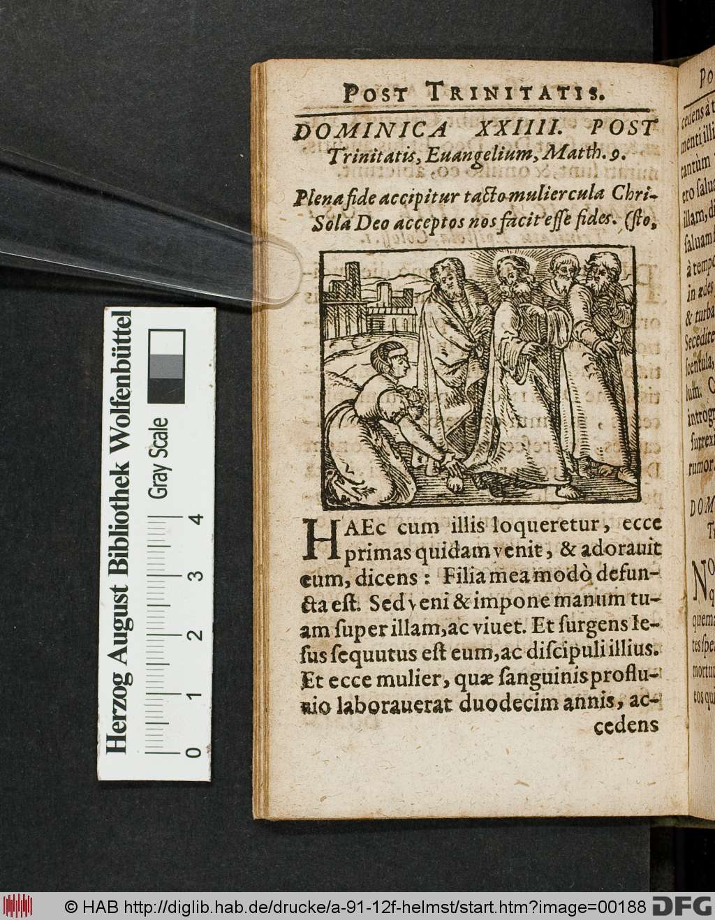 http://diglib.hab.de/drucke/a-91-12f-helmst/00188.jpg