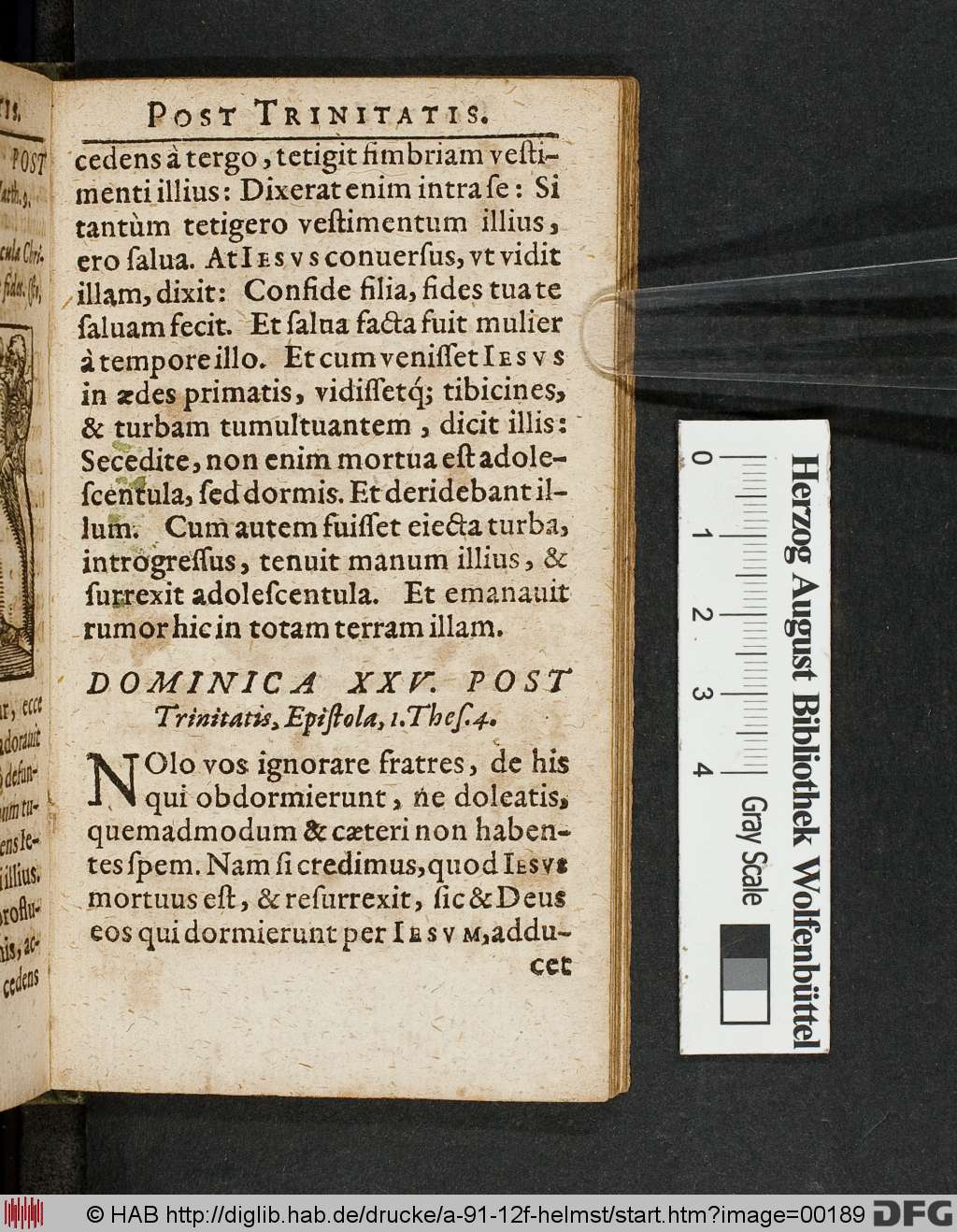 http://diglib.hab.de/drucke/a-91-12f-helmst/00189.jpg