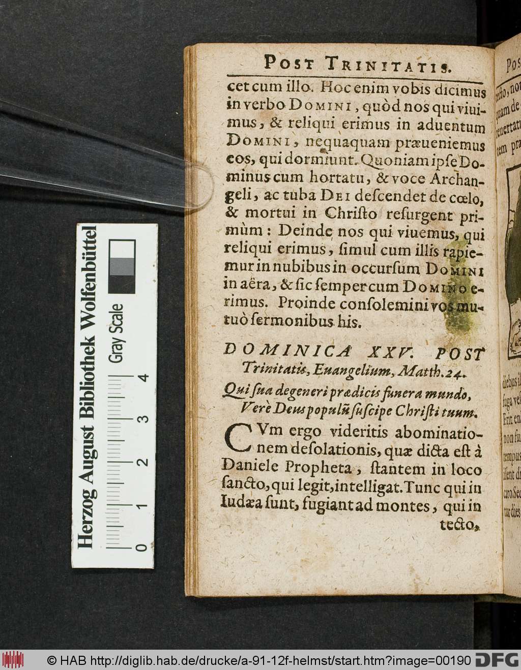 http://diglib.hab.de/drucke/a-91-12f-helmst/00190.jpg