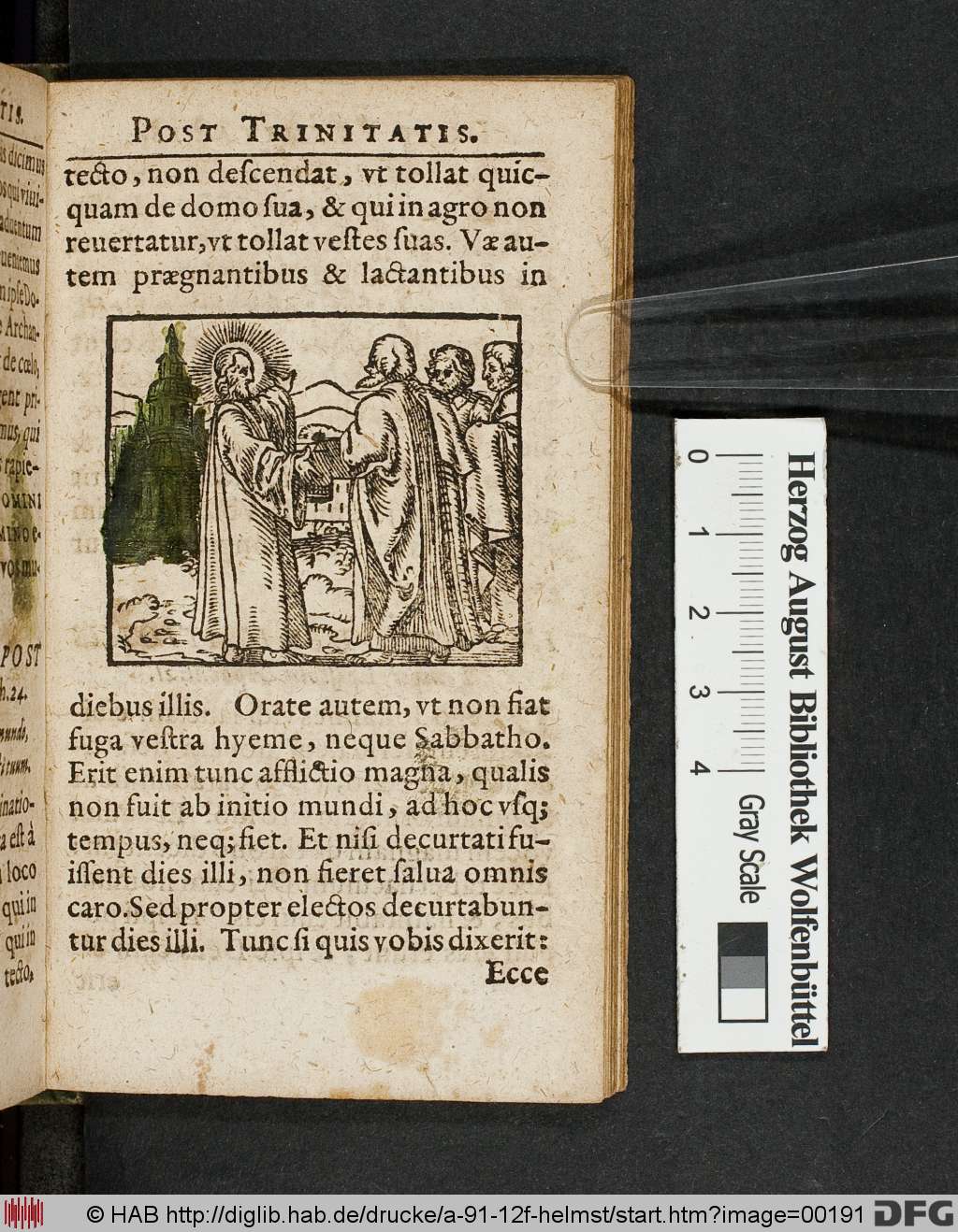 http://diglib.hab.de/drucke/a-91-12f-helmst/00191.jpg